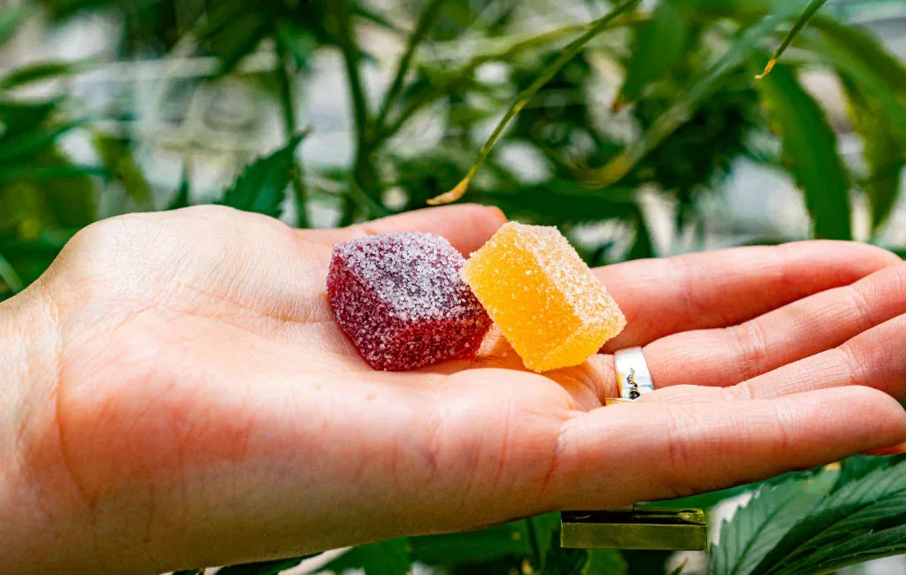 CBD gummies and oil at Smoke Drop Houston
